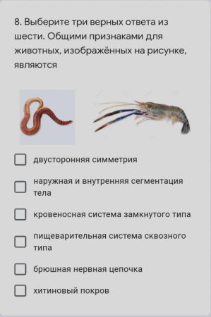 Выберете признаки для обоих изображенных животных