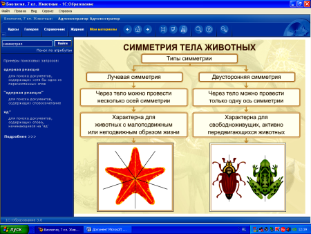 Типы симметрии животных 8 класс