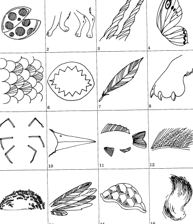 Модель птицы для дошкольников