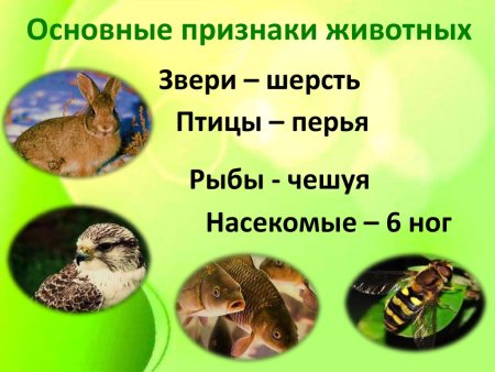 Признаки животных