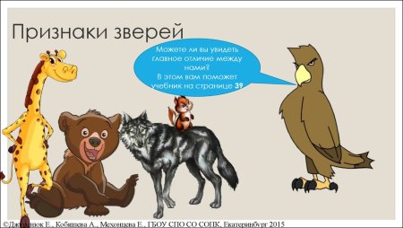 Отличительные особенности зверей