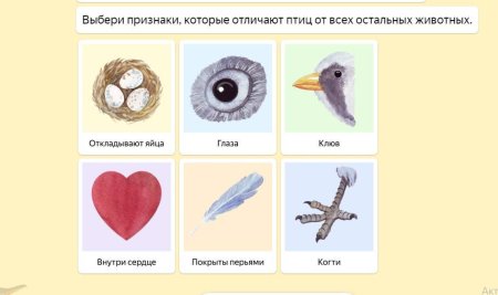 Признаки птиц