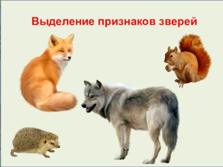 Звери презентация 1 класс