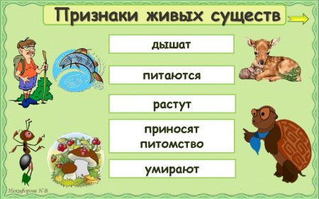 Признаки живых существ окружающий мир 2 класс