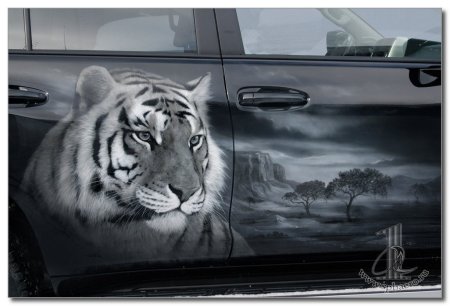 Аэрография тигр