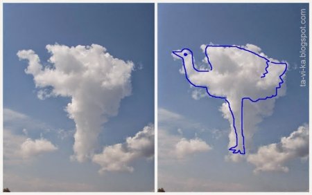 Облачко в виде животных