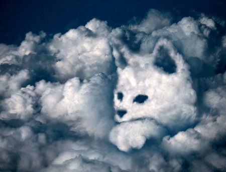Облака в виде зверей
