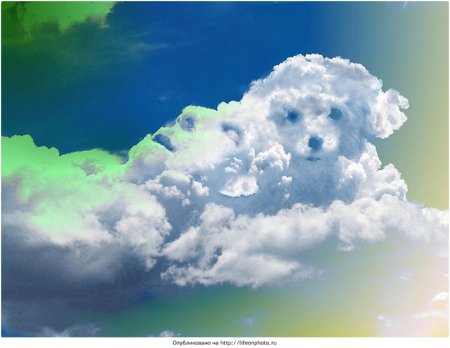 Облако в виде собаки