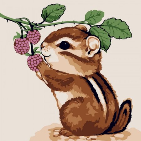 Molly картина по номерам бурундучок с ежевикой