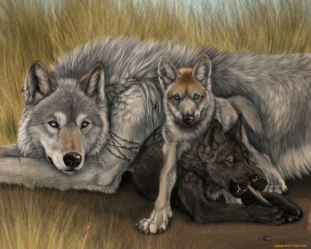 Оборотни Волчья стая