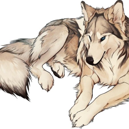 Нарисовать волка