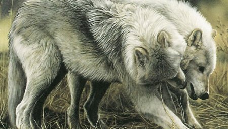 Художница Лесли Харрисон