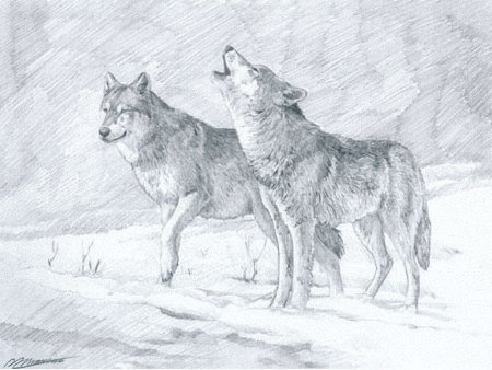 Пейзаж карандашом животные