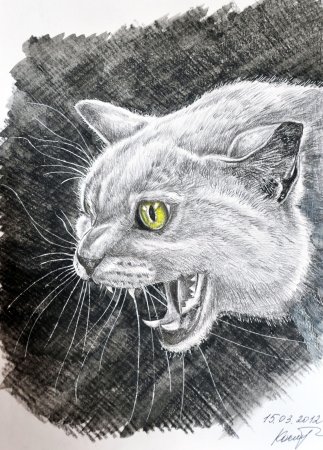 Карандашная Графика