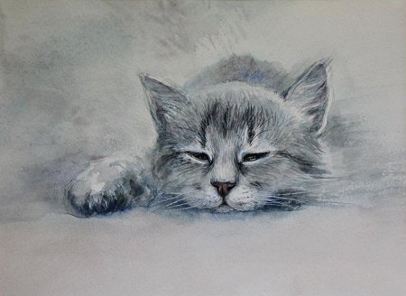 Котенок акварельными карандашами