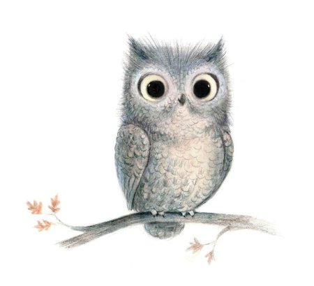 Милые Совушки