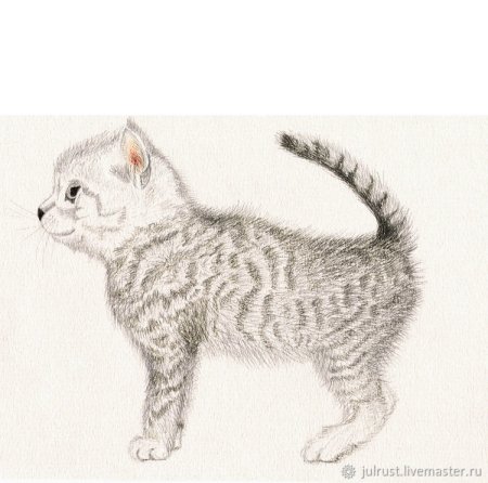Котенок рисунок