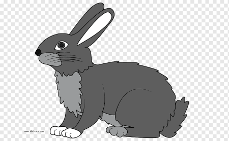 Заяц рисунок