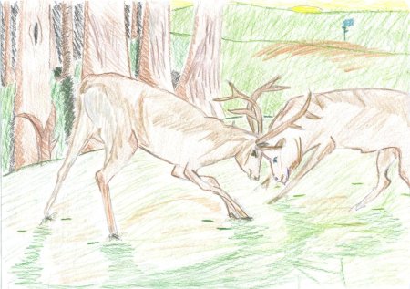 Рисовать невиданного зверя