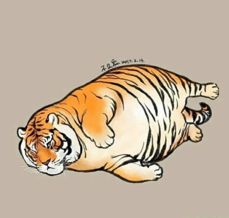 Мое тотемное животное тигр