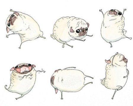 Смешные Рисованные мопсы