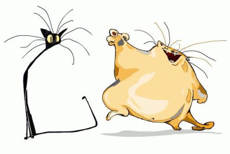 Толстый и худой кот