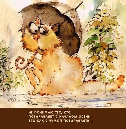 Добрые коты рисунки