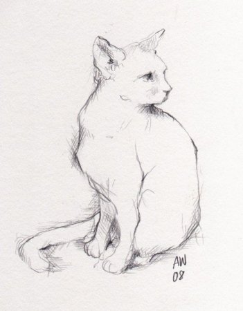 Зарисовки кошек