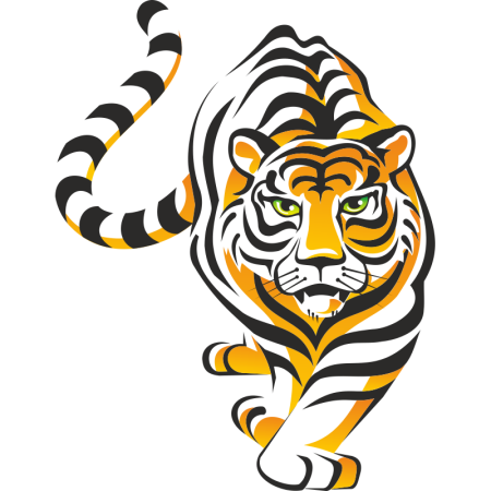 Тигр рисунок