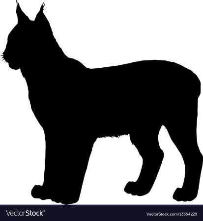 Очертания животных