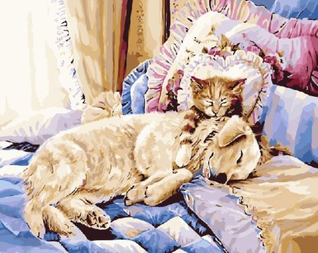 Shirley Deaville картины