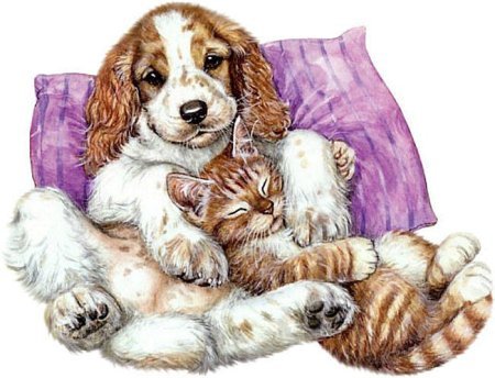 Рисовать кошку и собаку