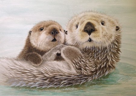 Выдра смешная нарисовать