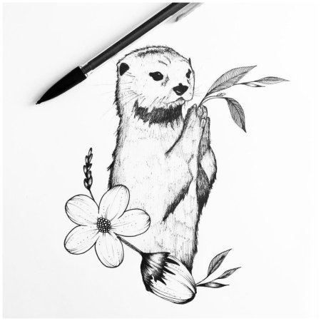 Как нарисовать выдру