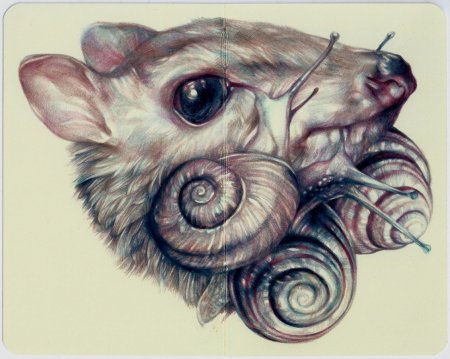 Необычные рисунки