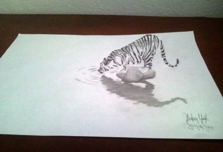 Живые рисунки карандашом