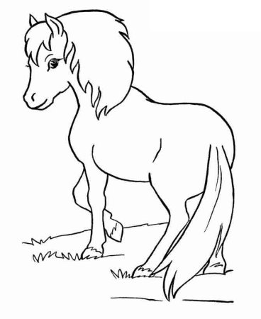 Раскраска. Лошади