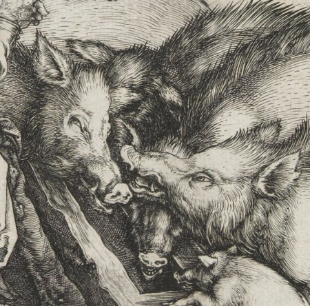 Альбрехт Дюрер кабан