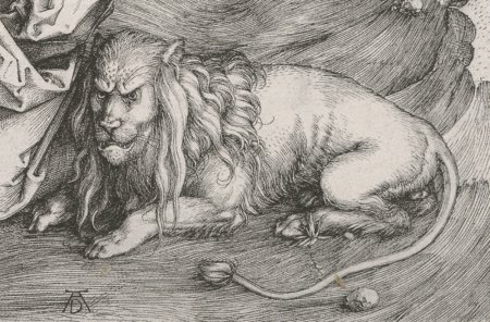 Альбрехт Дюрер анималистика