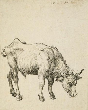 Альбрехт Дюрер кошка