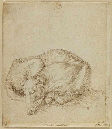 Альбрехт Дюрер штудии