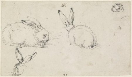 Альбрехт Дюрер зарисовки животных