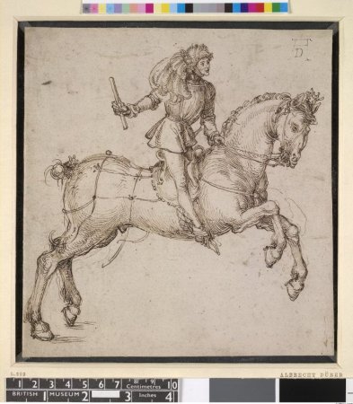 Альбрехт Дюрер морж