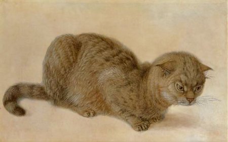 Альбрехт Дюрер акварель Сова