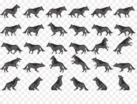 Тигр с разных ракурсов