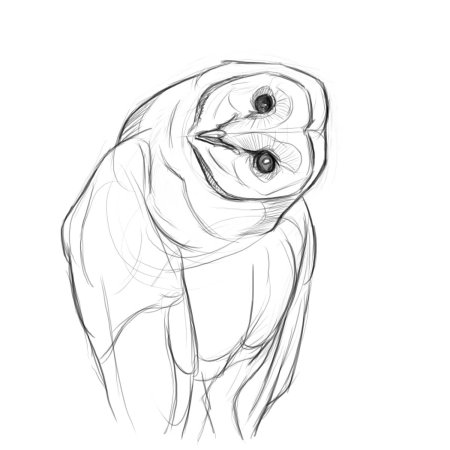 Персонажи животные стилизация