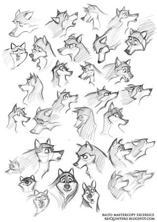 Шиба ину Чиби