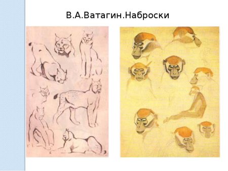 Анималистический Жанр Ватагин картины
