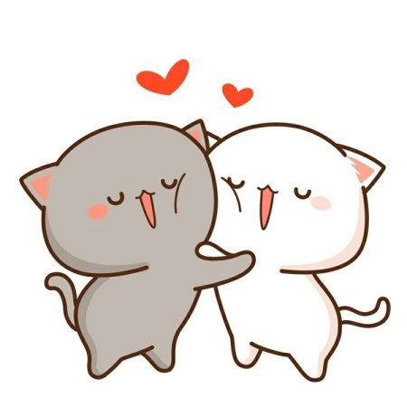 Кавайные котики парочка