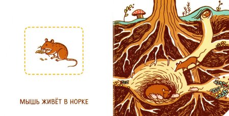 Мышь в норе иллюстрация